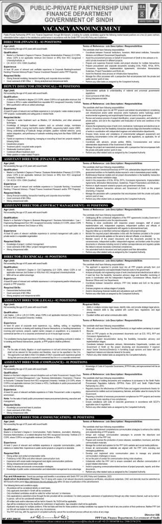 Govt Public Private Partnership Unit Jobs 2025