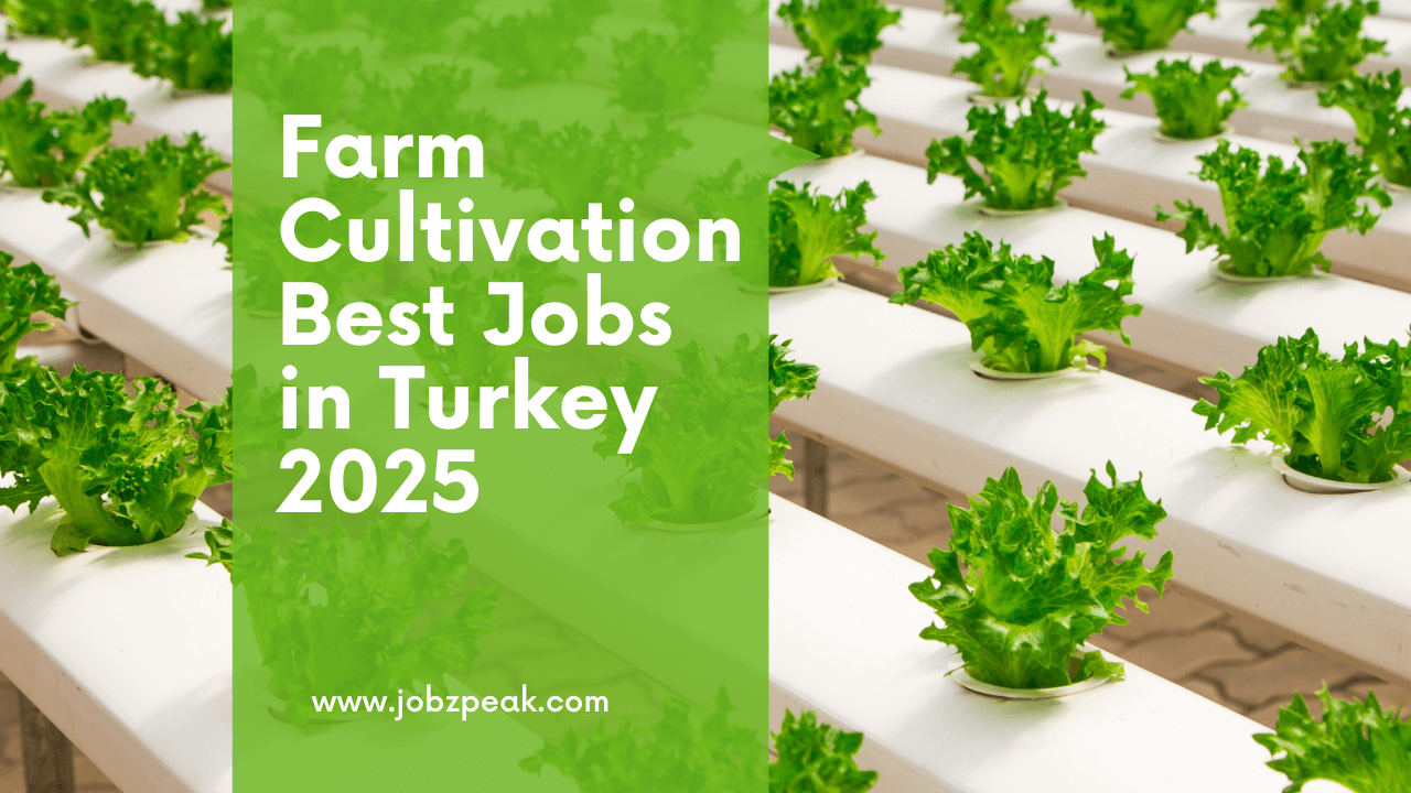 Best Jobs in Turkey 2025
